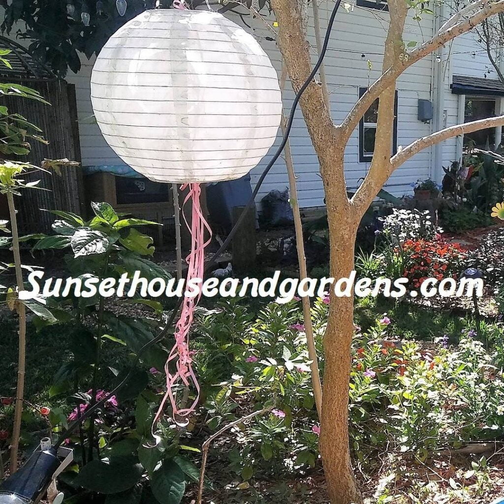 AI Generated image of Sunset House and Gardens Hostel.